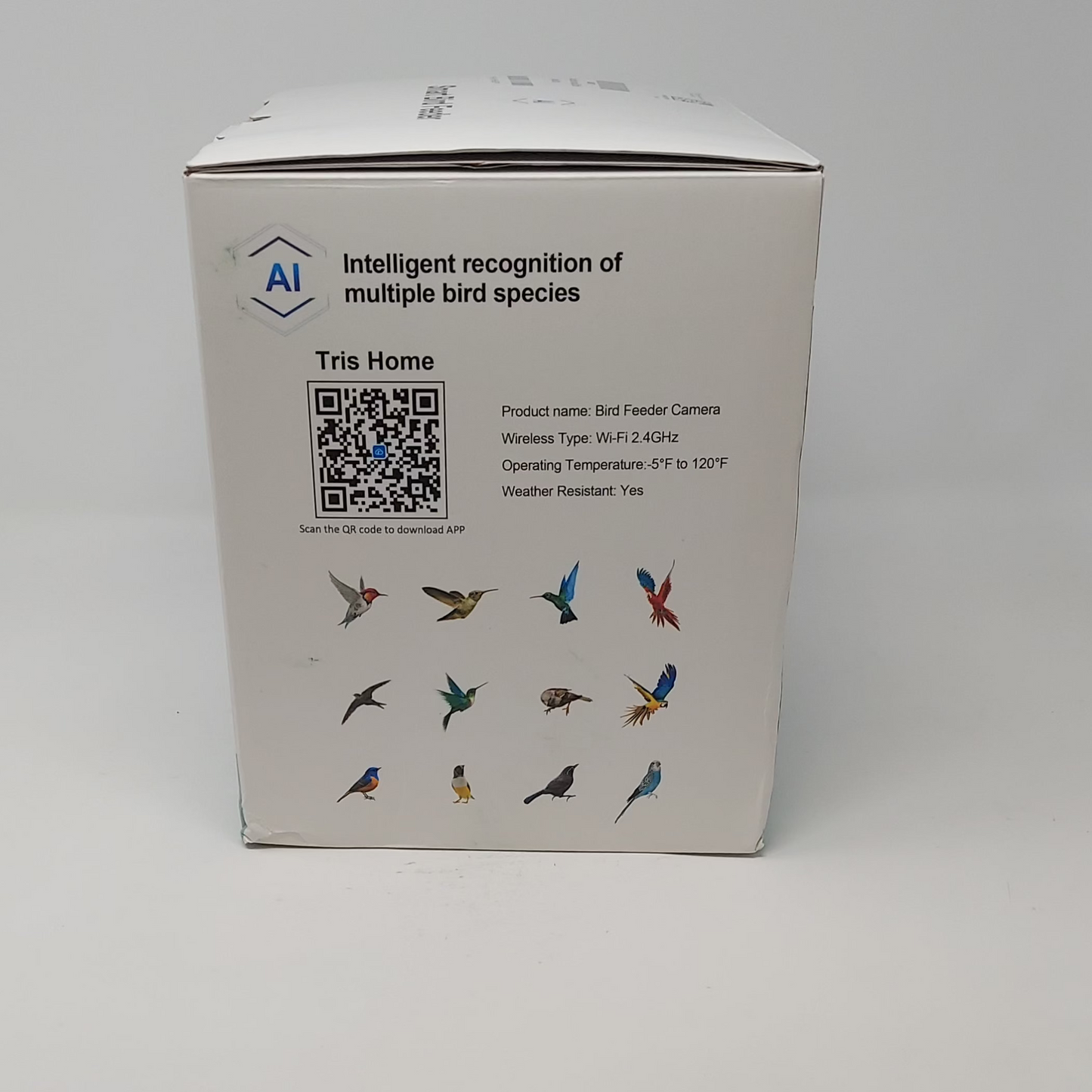 New Haymor Smart Bird Feeder X004F3EZ8R