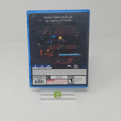 Death's Gambit (Sony PlayStation 4 PS4, 2019)