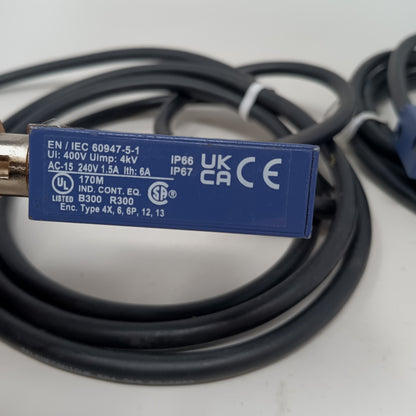 Telemecanique XCMD2102L3 240VAC 10A SPDT Roller Plunger Limit Switch