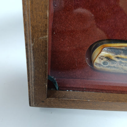 Vintage 1979 Case XX Founders Edition Knife 5143 SSP Stag Handle Lockback